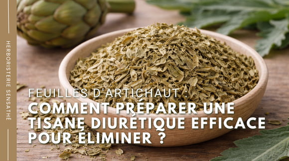 Feuilles d'artichaut  comment préparer une tisane diurétique efficace pour éliminer - Herboristerie Sensathé
